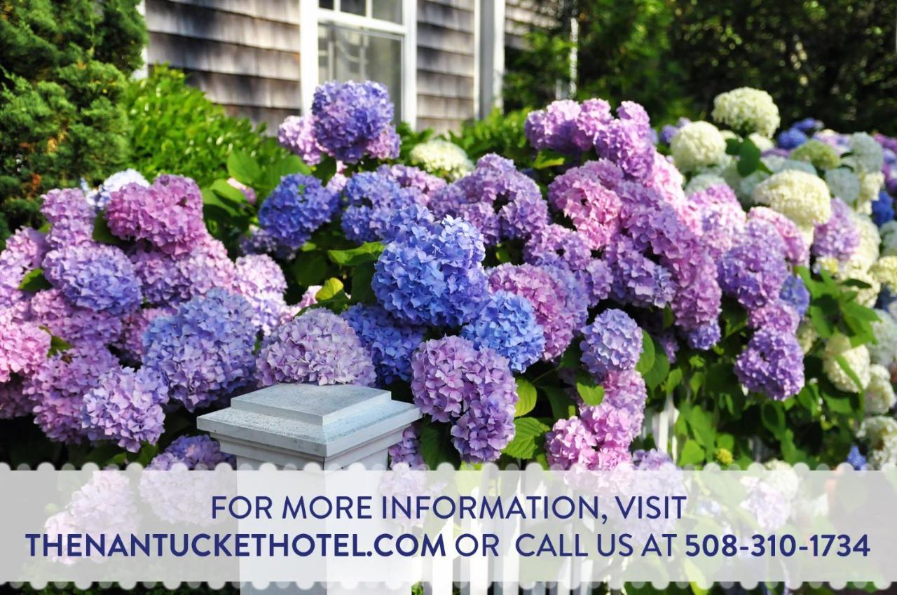 The Nantucket Hotel & Resort Экстерьер фото